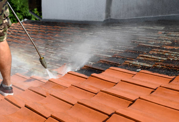 Best House Pressure Washing  in Lathrop, MO
