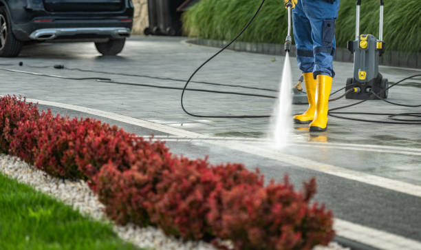 Best Local Pressure Washing Services  in Lathrop, MO