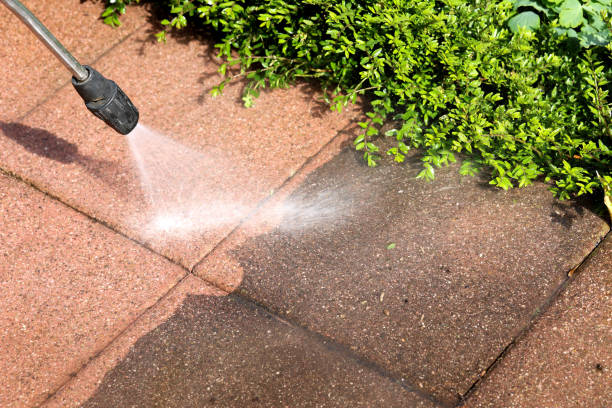 Best Pressure Washing Siding  in Lathrop, MO